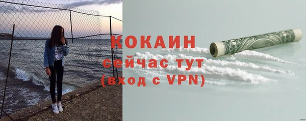 стафф Инта
