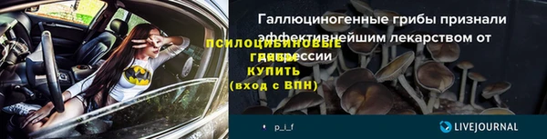гашик Заводоуковск