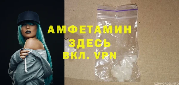 сатива Заволжье