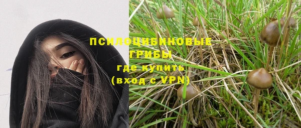 гашик Заводоуковск